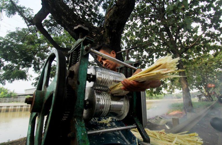 Keuntungan di Cuaca Panas Penjual Es Tebu Raup Keuntungan