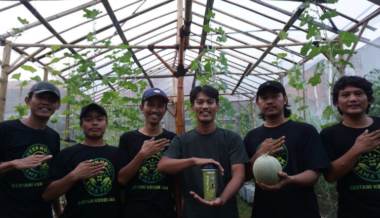 Kelompok Petani Milenial Sama Farm yang menjual hasil panennya ke Marketplace niagatani.id