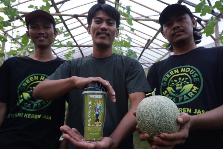 Panen Melon Perdana Petani Milenial di Kota Tangerang