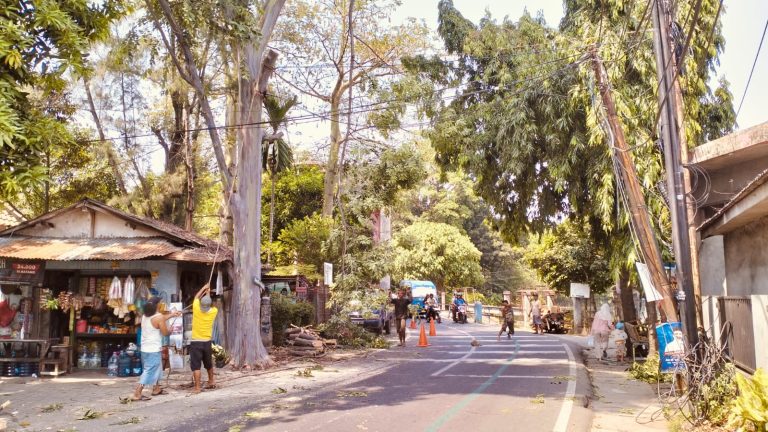 Antisipasi Pohon Tumbang di Kota Tangerang